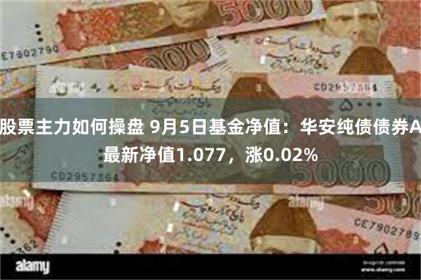 股票主力如何操盘 9月5日基金净值：华安纯债债券A最新净值1