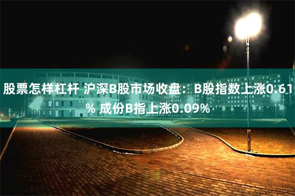 股票怎样杠杆 沪深B股市场收盘：B股指数上涨0.61% 成份