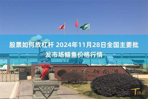 股票如何放杠杆 2024年11月28日全国主要批发市场鳝鱼价