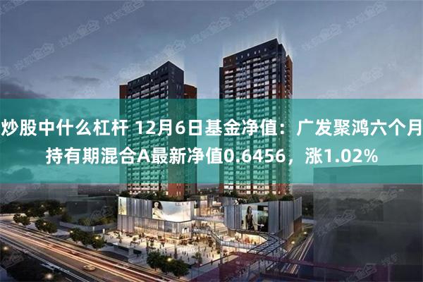 炒股中什么杠杆 12月6日基金净值：广发聚鸿六个月持有期混合