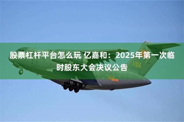 股票杠杆平台怎么玩 亿嘉和：2025年第一次临时股东大会决议