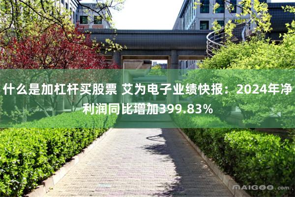 什么是加杠杆买股票 艾为电子业绩快报：2024年净利润同比增