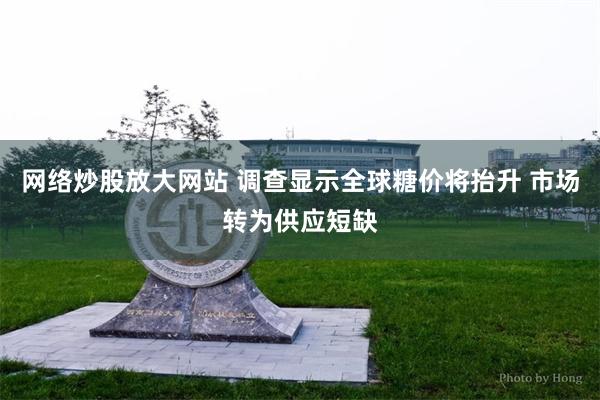 网络炒股放大网站 调查显示全球糖价将抬升 市场转为供应短缺